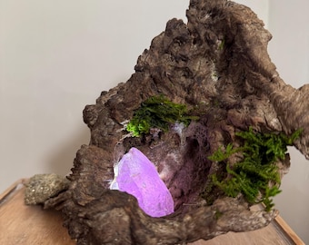 The Wisp-Burrow Timber and amethyst Lamp