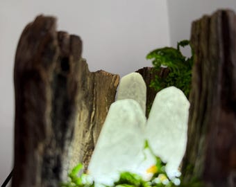The Timber Cradle Clear Quartz Lamp