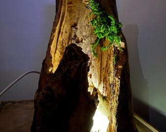 The Elderwatch Lamp Clear Quartz