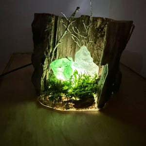 May include: A unique wooden lamp featuring a natural wood base with a hollowed-out center. Inside, there are two illuminated glass pieces, one green and one clear, surrounded by green moss and small twigs. The lamp emits a soft, warm glow.