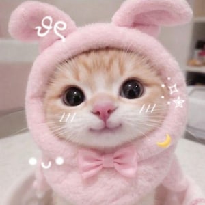 Könnte beinhalten: Ein niedliches orangefarbenes Tabby-Kätzchen in einem rosa Hasenkostüm mit passender Fliege. Das Kätzchen hat große, dunkle Augen und eine rosa Nase. Das Bild enthält dekorative Sterne, einen Mond und andere Verzierungen.