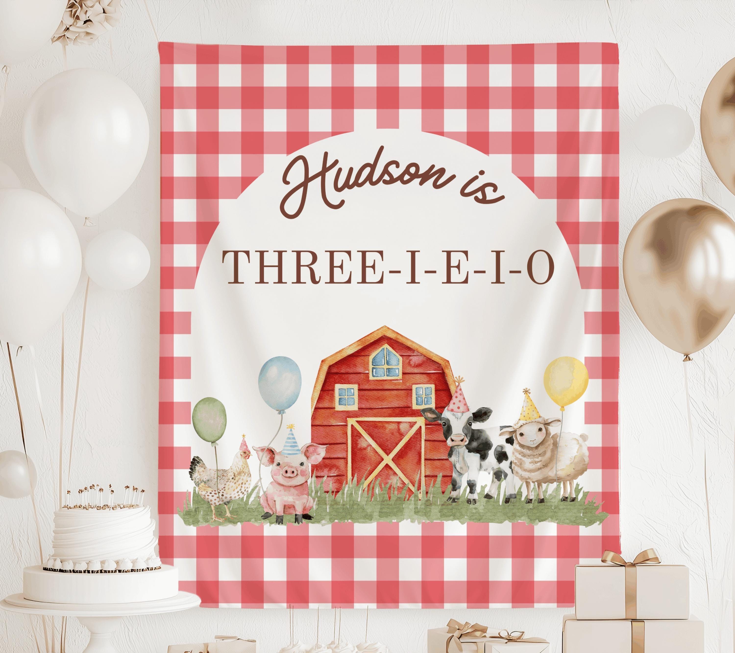 Barnyard Farm Animal Birthday Banner - Hen & Chick Party Decor For 1st, 2nd, 3rd Birthdays