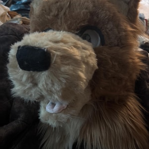 Fursuit commissions! Open (READ DESCRIPTION)