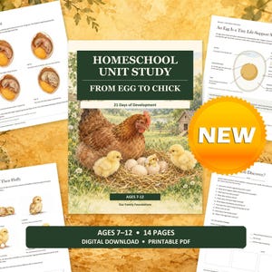 Egg to Chick Homeschool Unit Study: Chicken Development Science PDF for Ages 7–12
