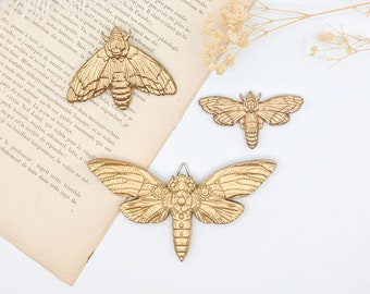 Steampunk cicada wall decor, oddities and curiosities decor, boho chic ornament