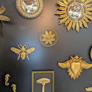 Decoration cabinet de curiosité