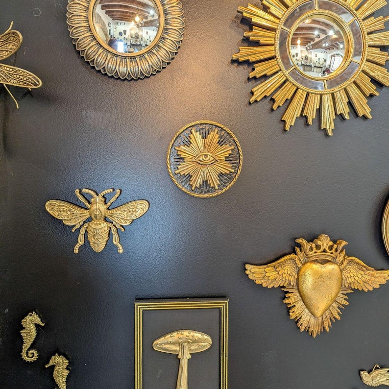 Decoration cabinet de curiosité
