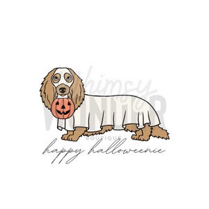 Puede incluir: Un perro salchicha marrón y blanco con un disfraz de fantasma blanco y sosteniendo una pequeña calabaza naranja. El texto "happy halloweenie" está escrito debajo del perro.