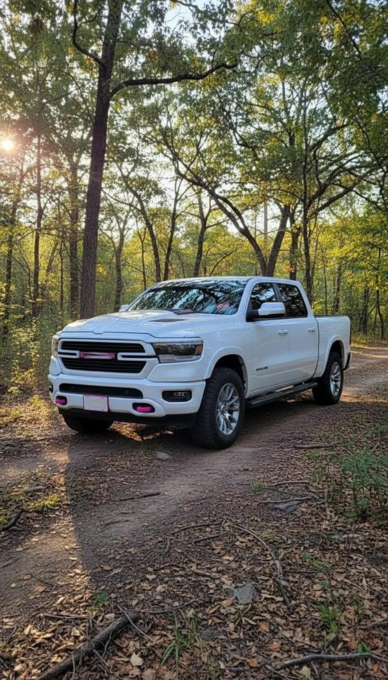 May include: A white pickup truck parked on a dirt road in a forest. The truck has a black grill with pink accents and chrome wheels. The sun is shining through the trees in the background.