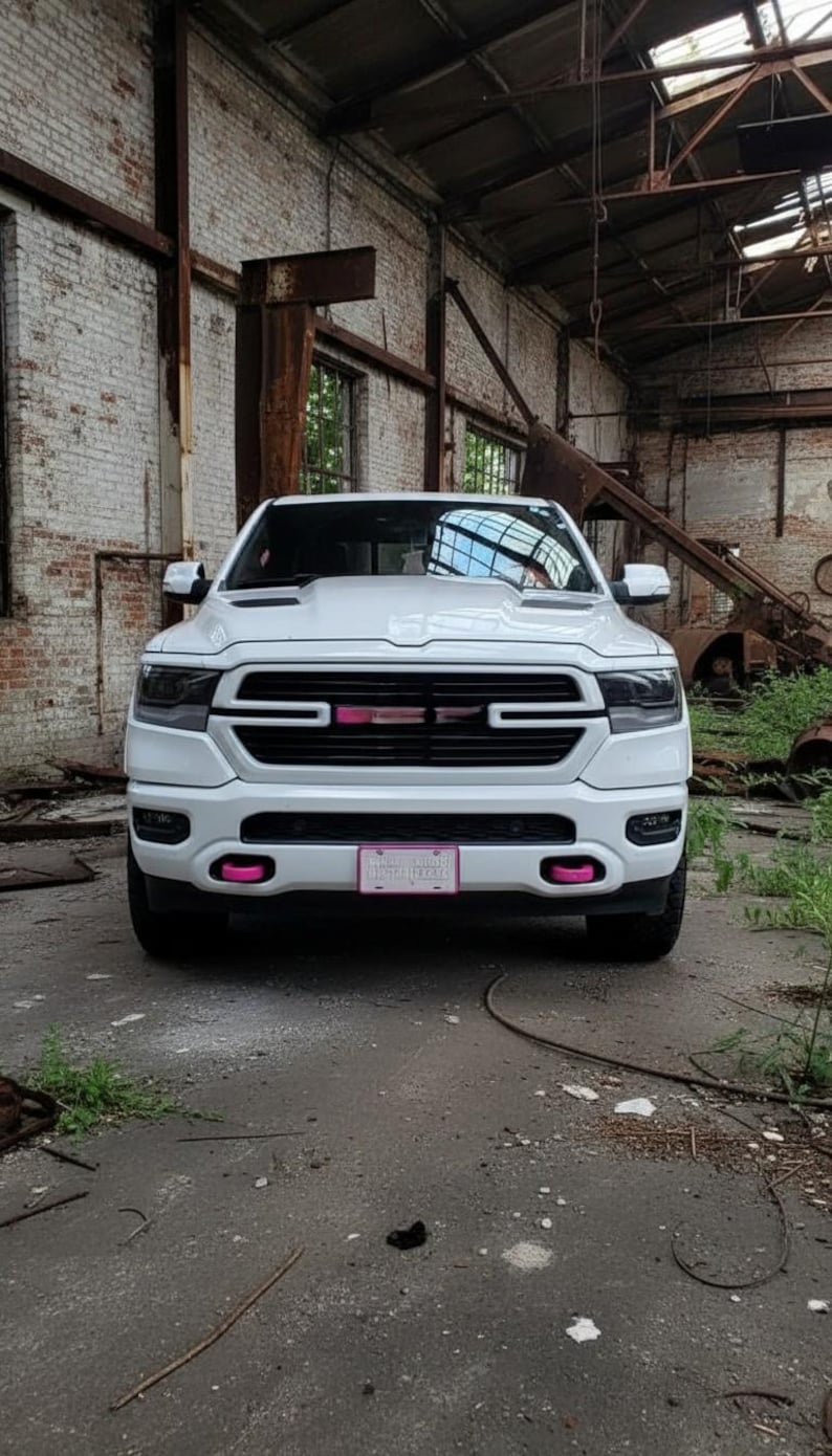 May include: A white pickup truck with black accents and pink details, parked in an abandoned industrial building. The truck has a custom grille and license plate. The background features brick walls and exposed metal beams.