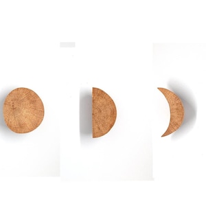 Peut inclure: Un ensemble de huit phases de lune en bois, allant d'un croissant à un cercle plein, disposées en rangée sur un fond blanc.