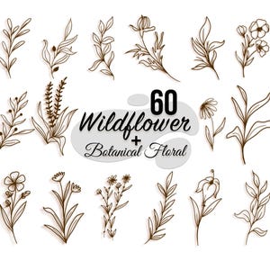Wilde bloemen botanische bloemen SVG-bundel, handgetekende wilde bloemen clipart, Boho bloemen zeer fijne tekeningen, digitale bloem PNG, Cricut sublimatie ontwerp