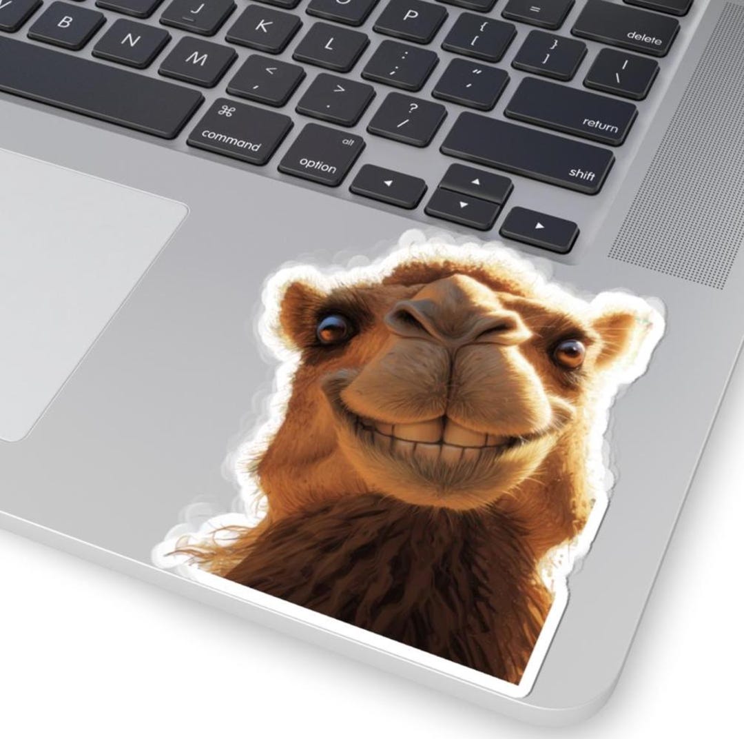 Smiling Camel Vinyl Decal | Desert Animal Sticker | Transparent or