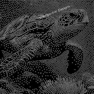 May include: A black and white graphic design featuring a dense pattern of small white dots on a black background. The image displays a stylised, abstract shape resembling a bird or creature, with the text Woodpecker Designs visible in white.