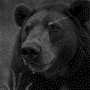 May include: A black and white stippled illustration of a bear's face created using a dense pattern of small white dots on a solid black background. The artwork uses varying dot density to define the bear's snout, eyes, and ears with high contrast.
