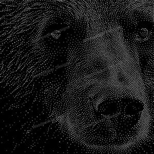 May include: Black and white dot pattern portrait. The image is a close-up of a face, created with a pattern of white dots on a black background. The dots vary in size and density, creating shadows and highlights that define the facial features.