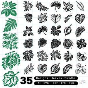 Pacote com 35 designs exclusivos de folhas / Clipart botânico em ai, svg, dxf, eps, png / Modelos de folhas / Arquivos de corte para Cricut / Silhueta / Vetor