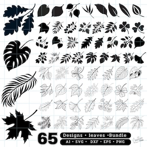 65 Blätter-Design-Bundle - Vielseitige Blatt-Silhouetten und Muster für kreative Projekte