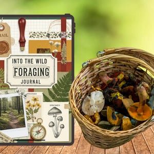 Printable Foraging Planner PDF – Wild Edible Guide, Harvest Logs & Seasonal Tracker – Plants, Mushrooms and Herb Notes image 2