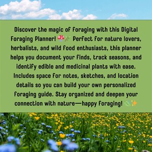 Printable Foraging Planner PDF – Wild Edible Guide, Harvest Logs & Seasonal Tracker – Plants, Mushrooms and Herb Notes image 3