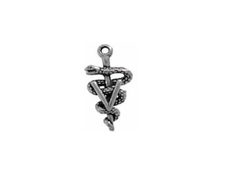 Veterinary Charm Sterling Silver | Veterinary Symbol Charm | Veterinary Jewelry