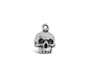 May include: Silver skull charm with a detailed design. The charm has a loop at the top for attaching to jewelry or other crafts.