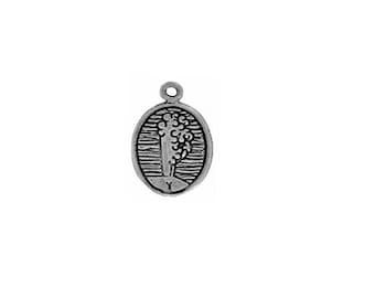 Yellowstone Charm Sterling Silver | Old Faithful Charm | Made in USA