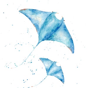 Mantarochen Aquarell Druck von Original Aquarellmalerei, Mantarochen Kunstdruck, Ozean Manta Rochen Aquarellkunst