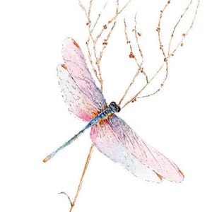 Dragonfly Watercolor Painting Print from Original Watercolor Painting, Dragonfly Art, Dragonfly Print, Garden Art