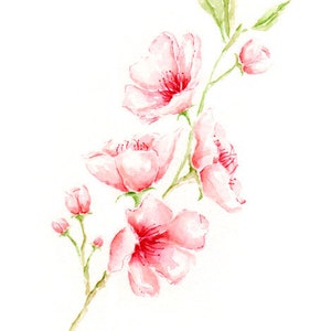 Cherry Blossom Watercolor Painting Print from Original Watercolor Painting, Cherry Blossom Art Prints, Nursery Cherry Blossom Art, Floral