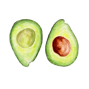 Avocado Watercolor Painting Print from Original Watercolor Painting, Avocado Art, Avocado Print, Food Art, Print Titled, &quot;Avocado&quot;
