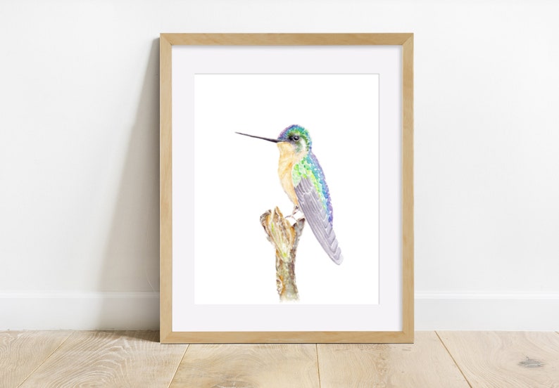 Download Little Hummingbird Watercolor Painting Print From Original Watercolor Painting Watercolor Hummingbird Art Print Hummingbird Painting Painting Art Collectibles Jewellerymilad Com