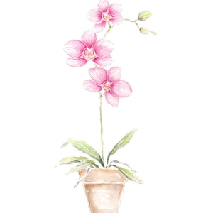 Pink Orchid Watercolor Painting Print from Original Watercolor Painting, Pink Orchid Art Print, Potted Pink Orchid Flower Print