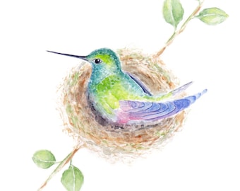 Nesting Hummingbird Watercolor Painting Print from Original Watercolor Painting, Watercolor Bird, Hummingbird Art, Hummingbird Prints