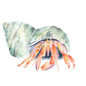 Stampa di pittura ad acquerello di granchio eremita da pittura ad acquerello originale, granchio ad acquerello, stampa artistica di vita marina, carino piccolo granchio eremita