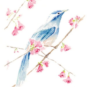Blue Bird Watercolor Painting Print from Original Watercolor Painting, Watercolor Bird, Bird Art, Bird Prints, Print titled, &quot;Blue Bird&quot;