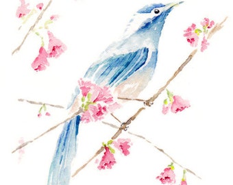 Impression de peinture aquarelle oiseau bleu à partir d'une peinture aquarelle originale, aquarelle d'oiseau, art oiseau, impressions d'oiseaux, impression intitulée « oiseau bleu »