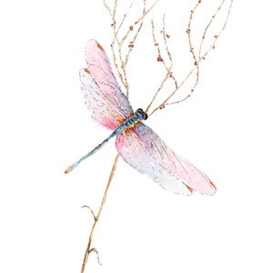 Printable Dragonfly Painting from an Original Watercolor Painting, Dragonfly Print, Nursery decor, Printable Art, Instant download