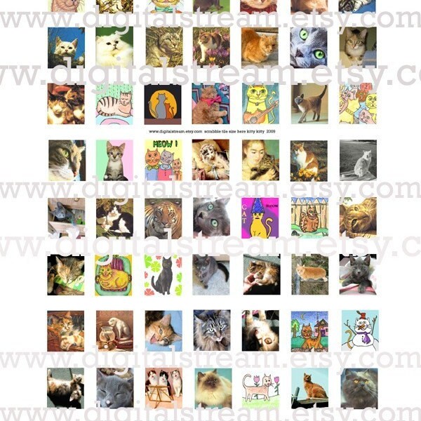 Kitty Cats .75 x .83 Inch Scrabble Tile Size Digital Collage Sheet 63 Different Images