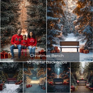 Banc entouré d'arbres de Noël en toile de fond numérique. Photo d'arrière-plan d'un banc dans un champ d'arbres de Noël décorés dans la neige composite.