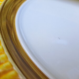 Ironstone Oval Platter Yellow Corn Rim Worcester Porcelain Co. Jamaica immagine 2