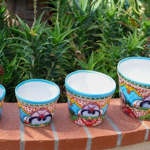 May include: Four colorful ceramic flower pots with a white interior, a turquoise rim, and a vibrant floral design. The pots are arranged in a row, decreasing in size from right to left, and are set against a backdrop of green foliage.