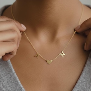 May include: A gold-colored necklace with the letters "A" and "N" flanking a heart-shaped charm. The necklace is delicate and appears to be made of a thin chain. The person is wearing a gray sweater.