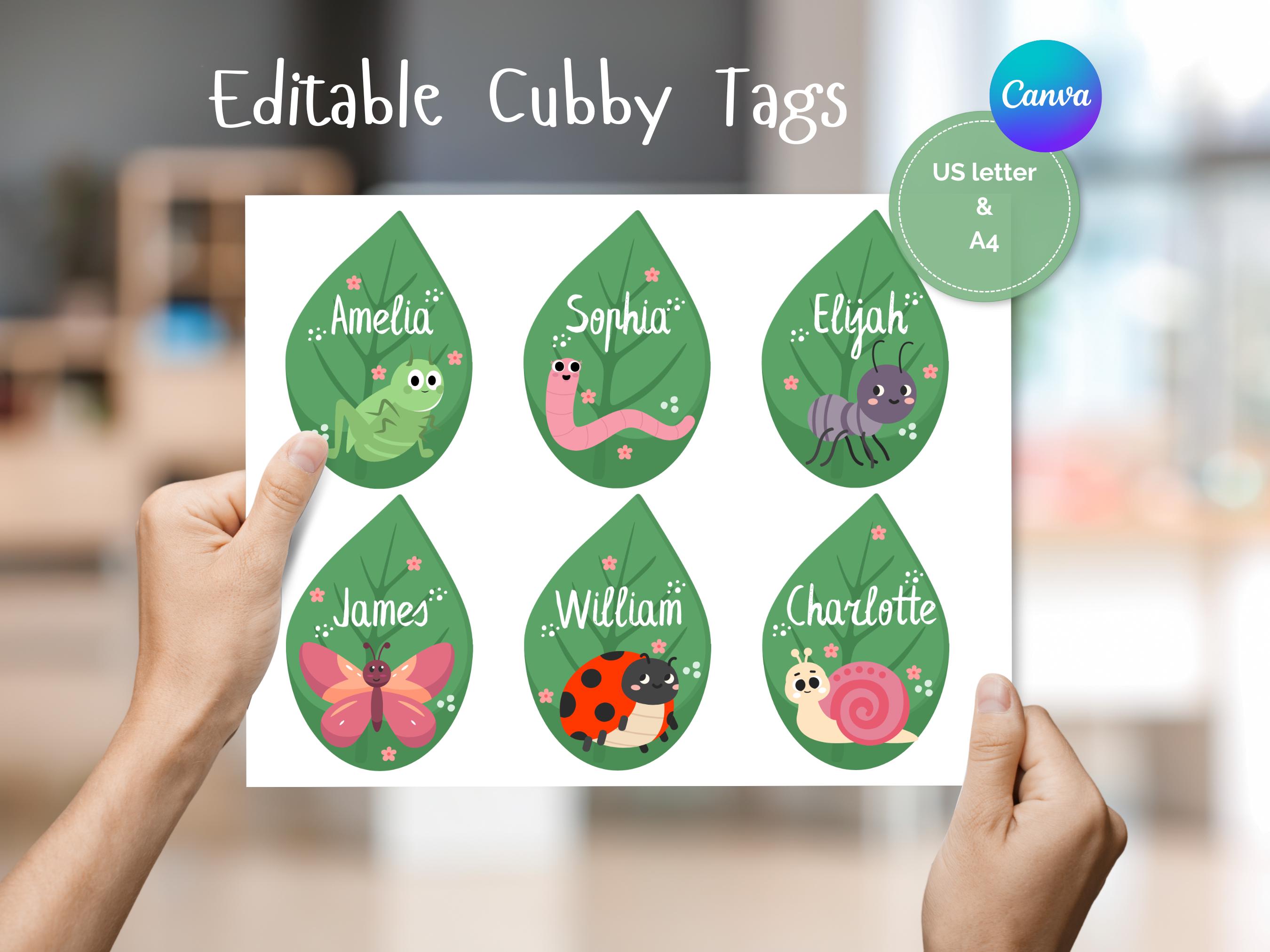 Bug Classroom Cubby Tags: Editable Bug Theme (PDF Download) - Etsy