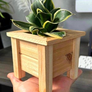 May include: A small, square wooden planter with a light brown finish. The planter has four legs and is holding a green and yellow snake plant.