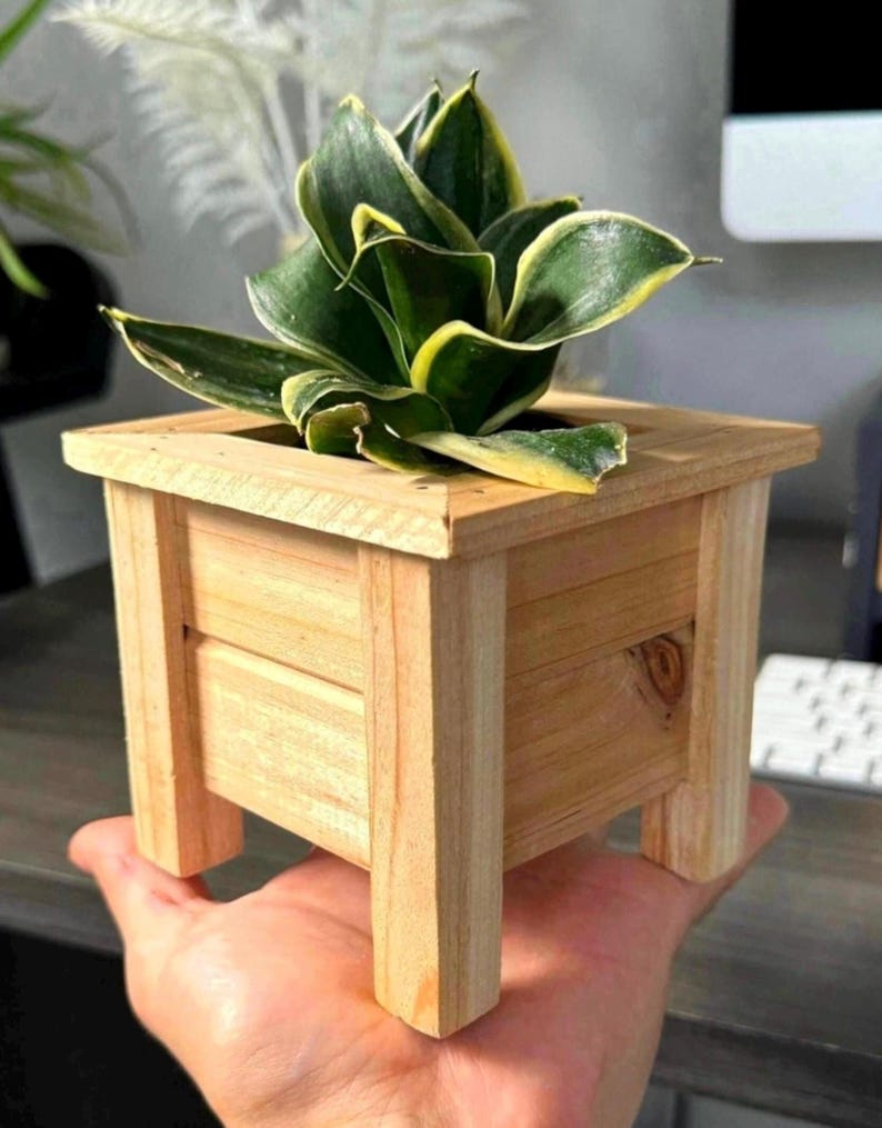 May include: A small, square wooden planter with a light brown finish. The planter has four legs and is holding a green and yellow snake plant.