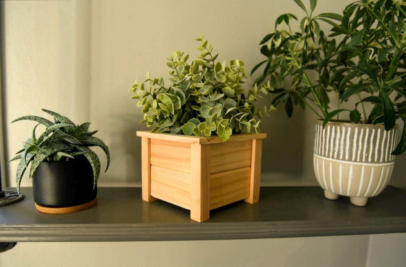 May include: A wooden planter box with a light brown finish. The planter is square and has a simple design. It is filled with a green leafy plant.