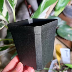 2.7” Black Square Planter Pots | Made of Thick, High Quality Plastic | Perfect for Seedlings or Carnivorous Plants