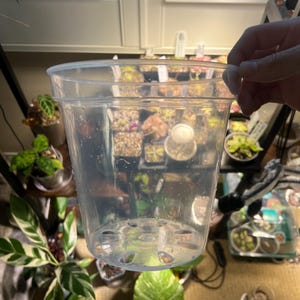 7” Large Clear Planter Pot | High Quality Transparent Plastic & Excellent Drainage | Perfect for Monitoring Root Health!