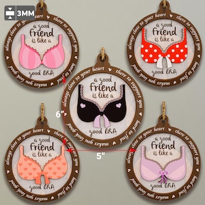 Könnte beinhalten: Vier Holzornamente mit braunem Hintergrund und weißem Text, der "Ein guter Freund ist wie ein guter BH" lautet. Jedes Ornament zeigt einen BH in einer anderen Farbe mit einer Schleife. Die Ornamente haben einen Durchmesser von 15,2 cm und sind 3 mm dick.